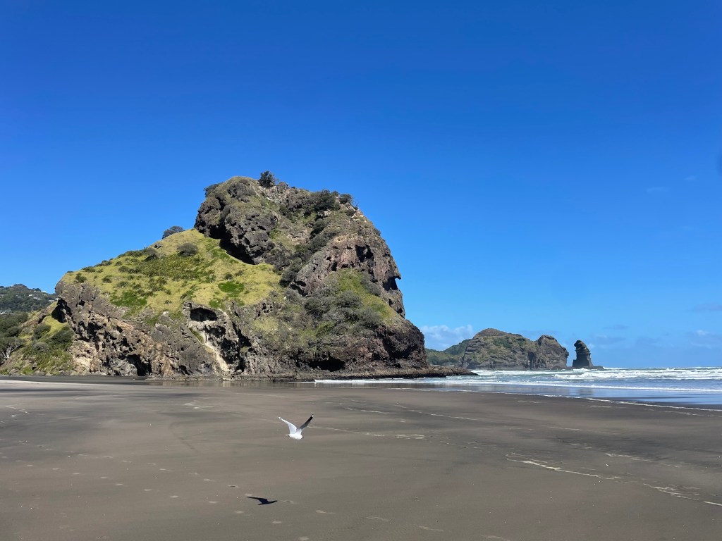 Road Trips and&nbsp;Waterfalls